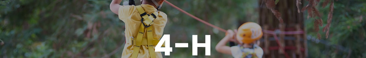 4-H Header 4-H Header